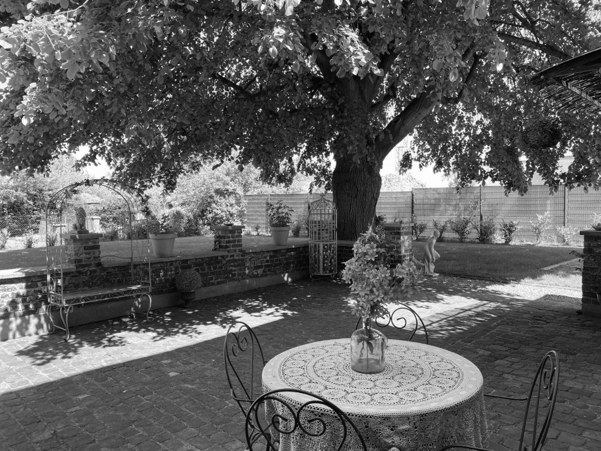 La Villa Des Roses - Suite & Spa Lys-lez-Lannoy Zewnętrze zdjęcie